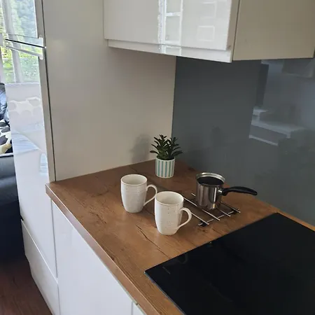 Apartment Durdica Bobic *