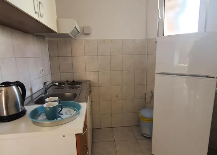 Durdica Bobic Apartman *