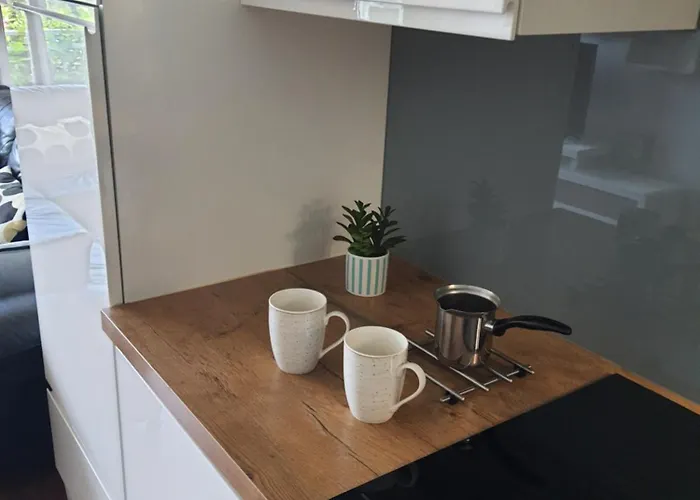 Apartman Durdica Bobic *